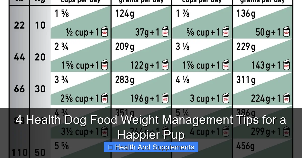 4 Health Dog Food Weight Management Tips for a Happier Pup