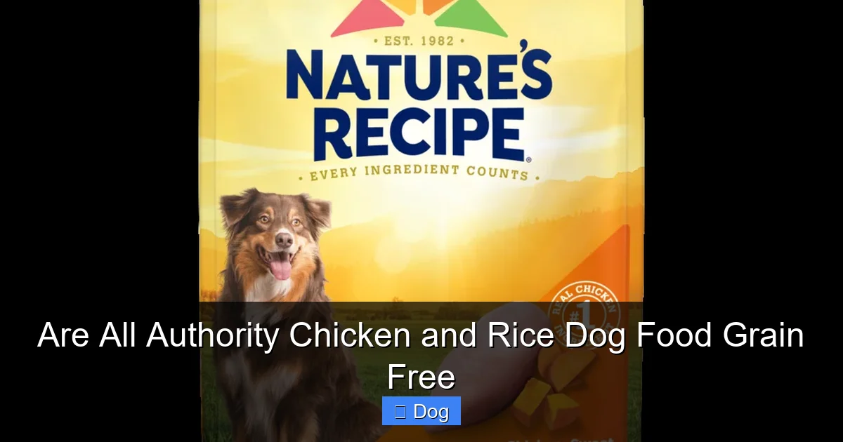 Are All Authority Chicken and Rice Dog Food Grain Free