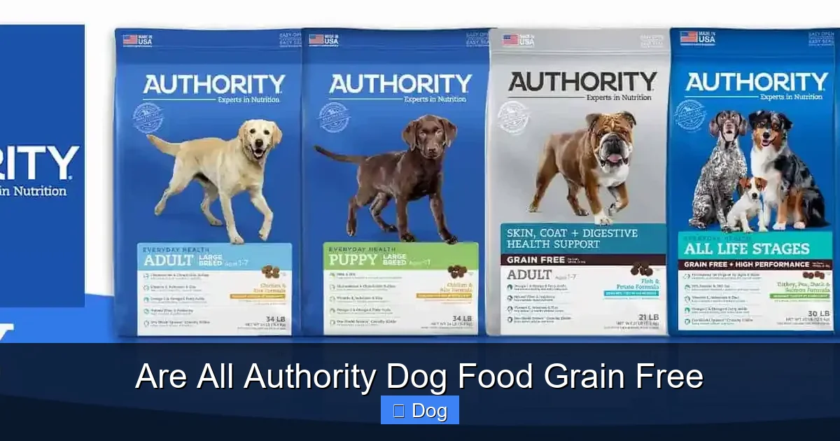 Are All Authority Dog Food Grain Free