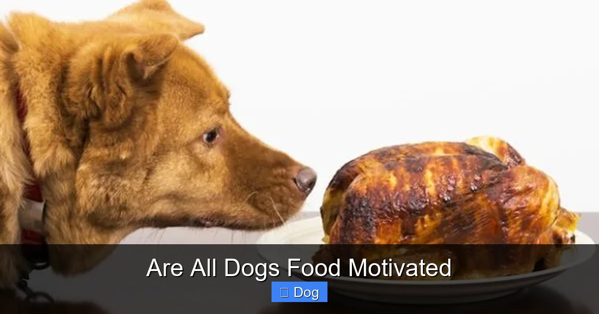 Are All Dogs Food Motivated