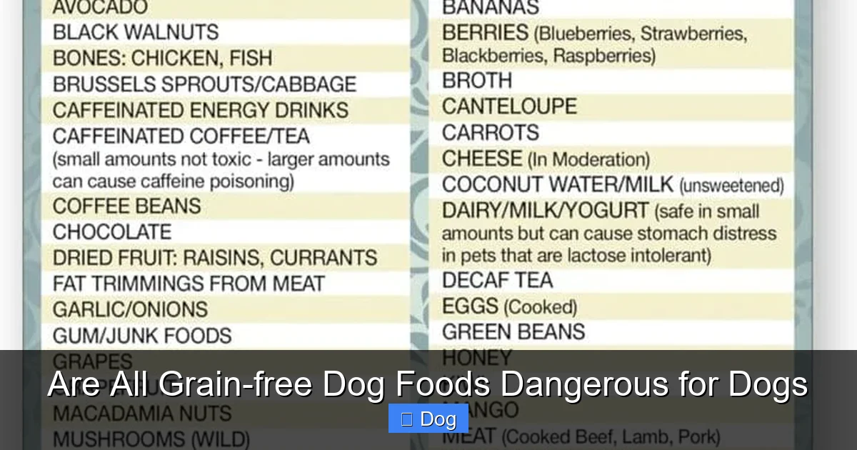 Are All Grain-free Dog Foods Dangerous for Dogs