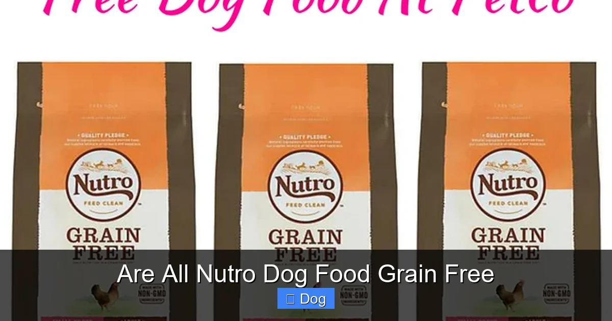 Are All Nutro Dog Food Grain Free