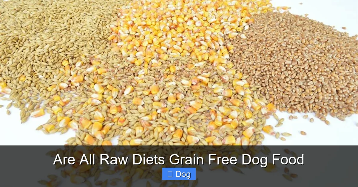 Are All Raw Diets Grain Free Dog Food