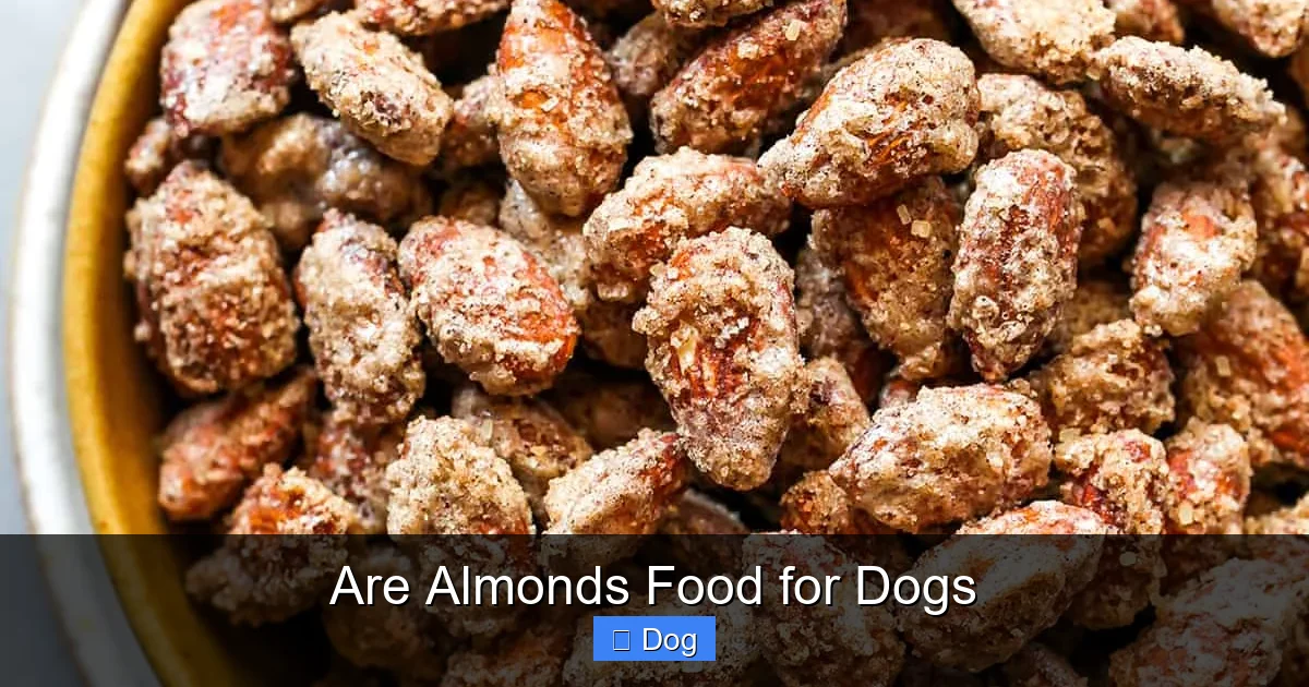 Are Almonds Food for Dogs