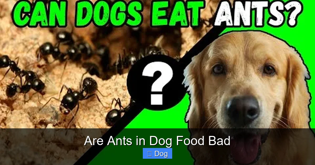 Are Ants in Dog Food Bad