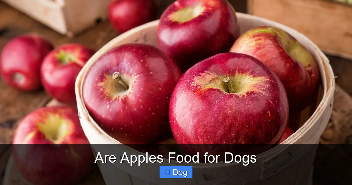 Are Apples Food for Dogs