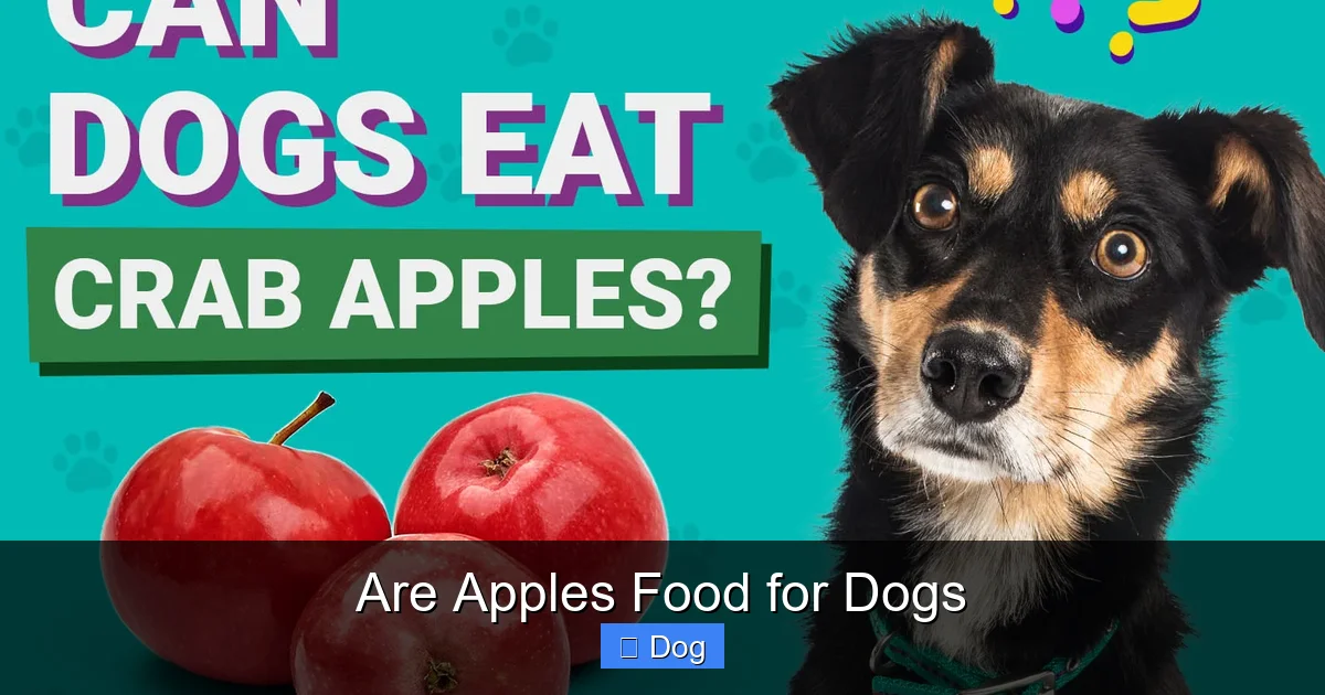 Are Apples Food for Dogs