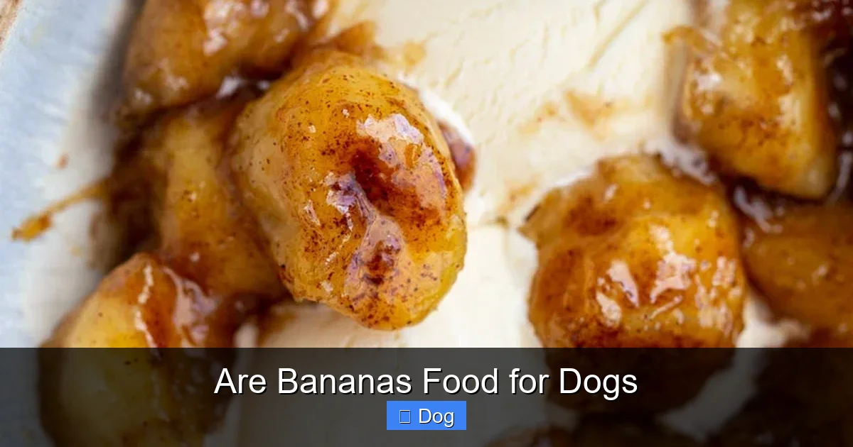 Are Bananas Food for Dogs