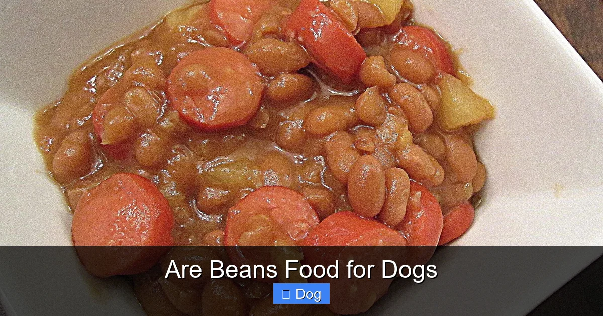 Are Beans Food for Dogs