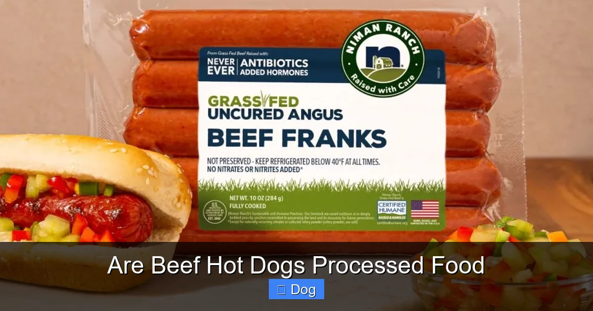 Are Beef Hot Dogs Processed Food