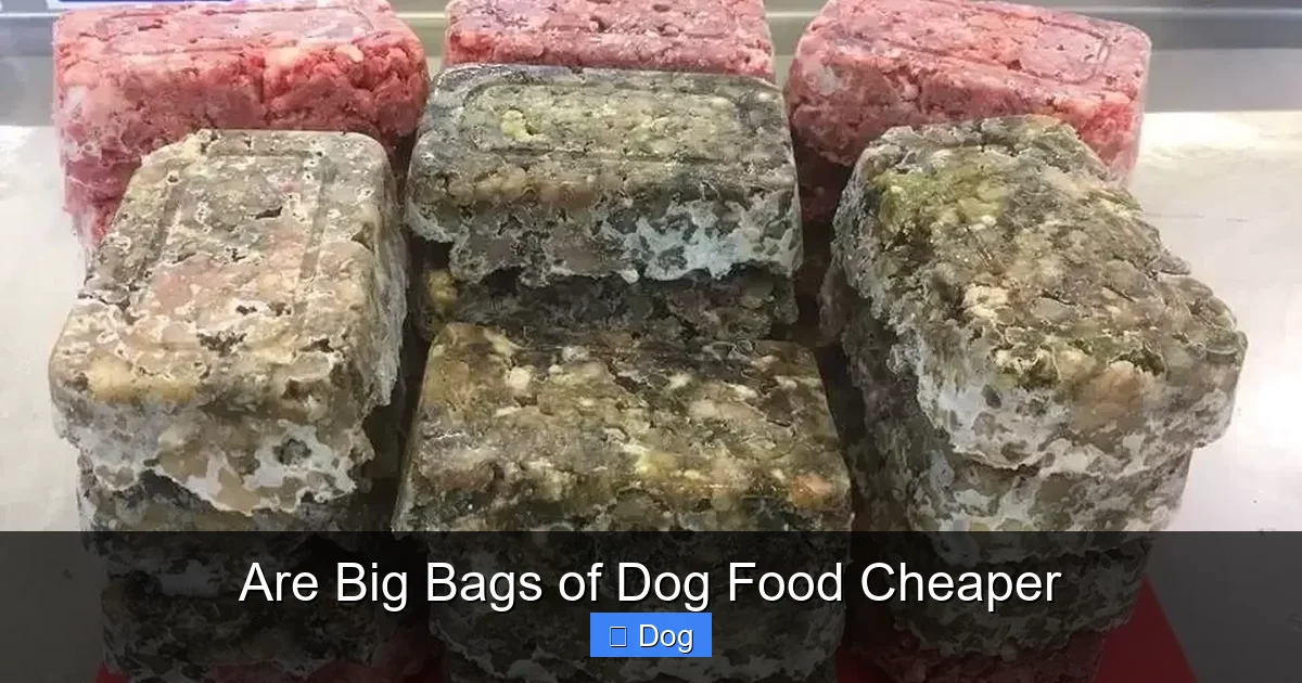 Are Big Bags of Dog Food Cheaper