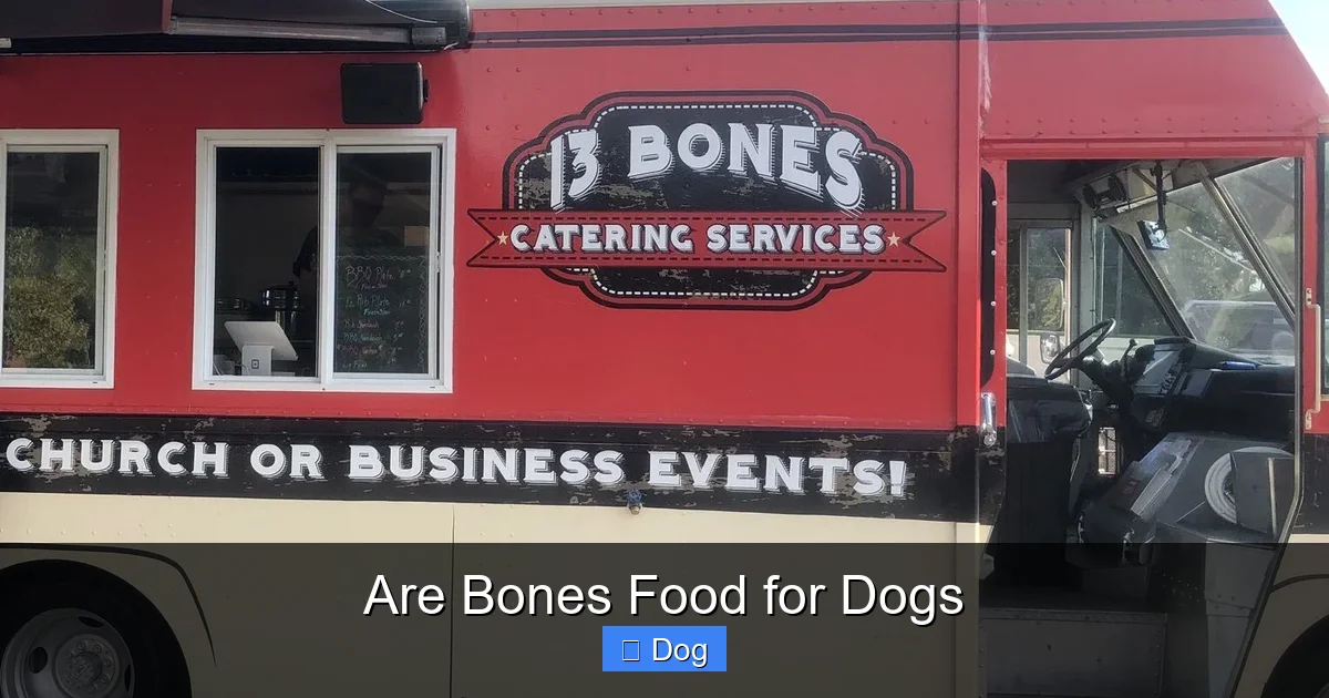Are Bones Food for Dogs
