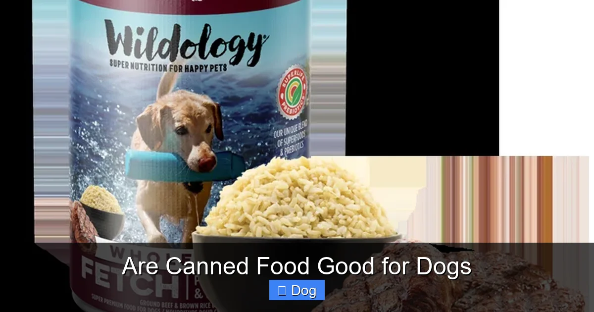 Are Canned Food Good for Dogs