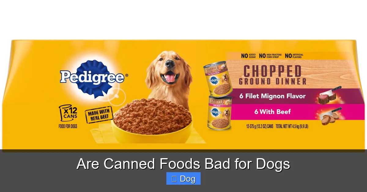 Are Canned Foods Bad for Dogs
