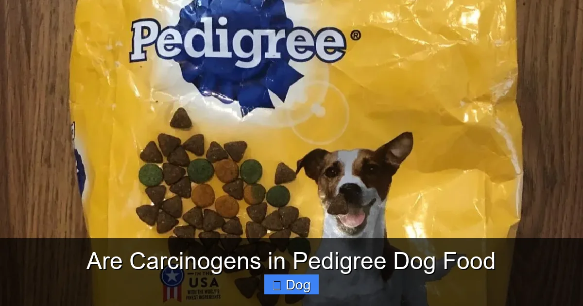 Are Carcinogens in Pedigree Dog Food