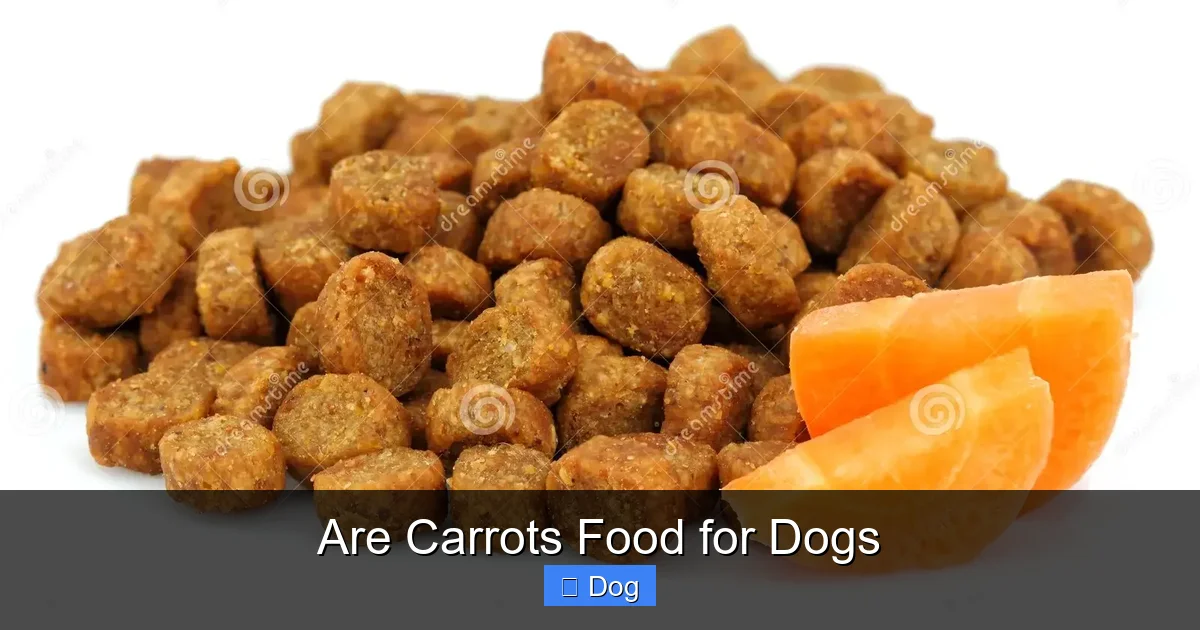 Are Carrots Food for Dogs