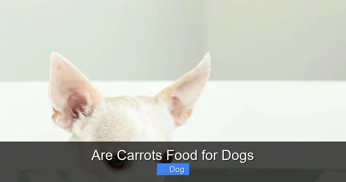 Are Carrots Food for Dogs