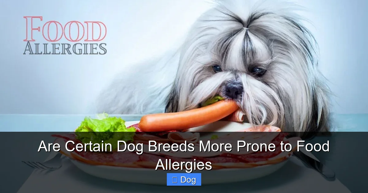 Are Certain Dog Breeds More Prone to Food Allergies