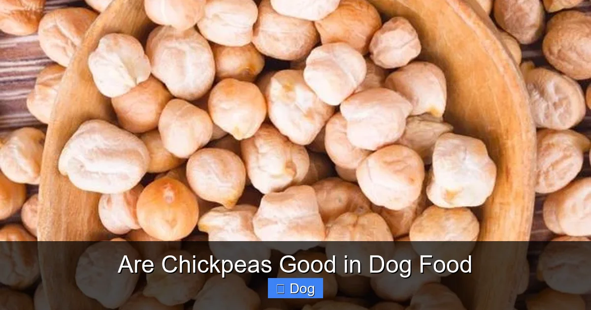 Are Chickpeas Good in Dog Food