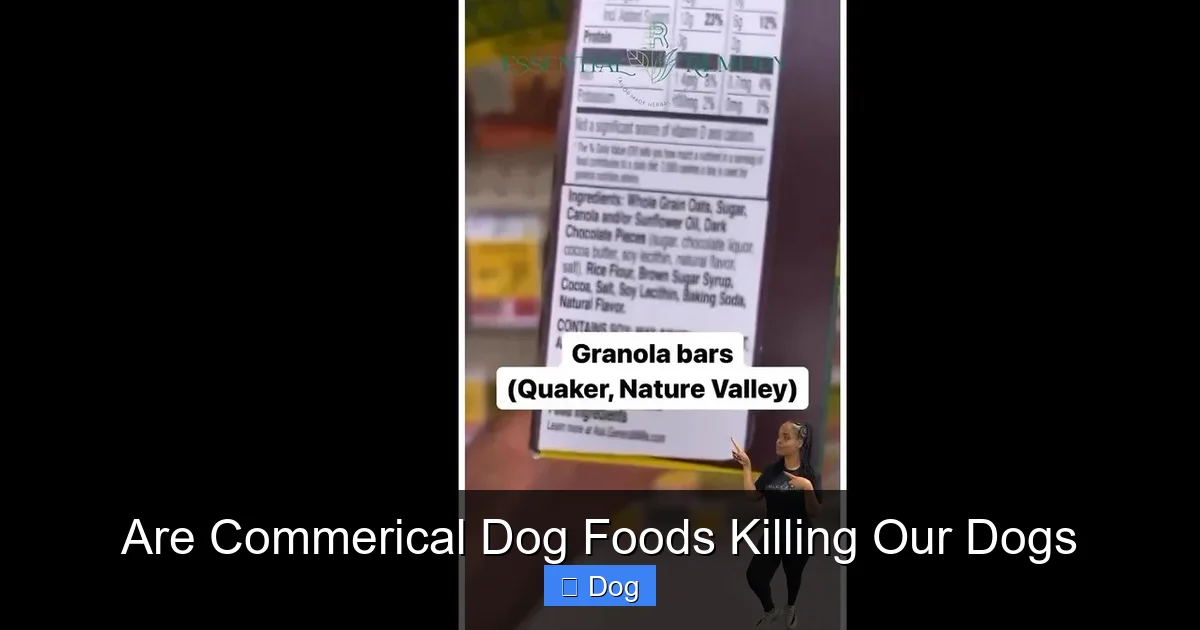 Are Commerical Dog Foods Killing Our Dogs