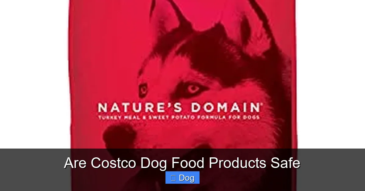 Are Costco Dog Food Products Safe