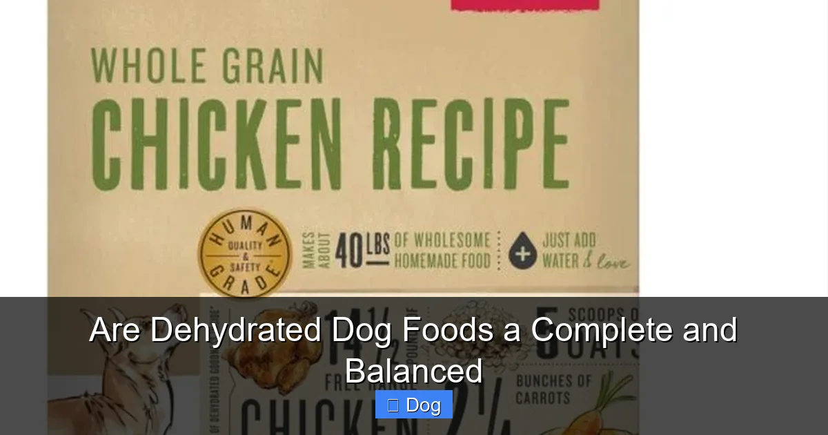 Are Dehydrated Dog Foods a Complete and Balanced