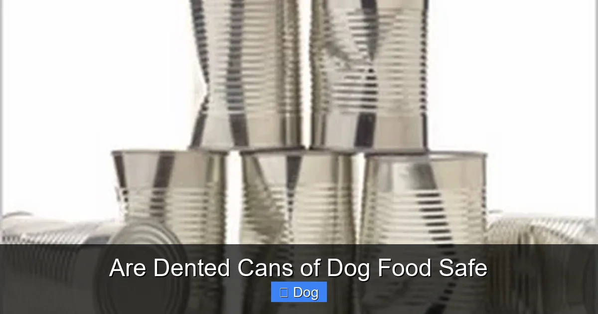 Are Dented Cans of Dog Food Safe