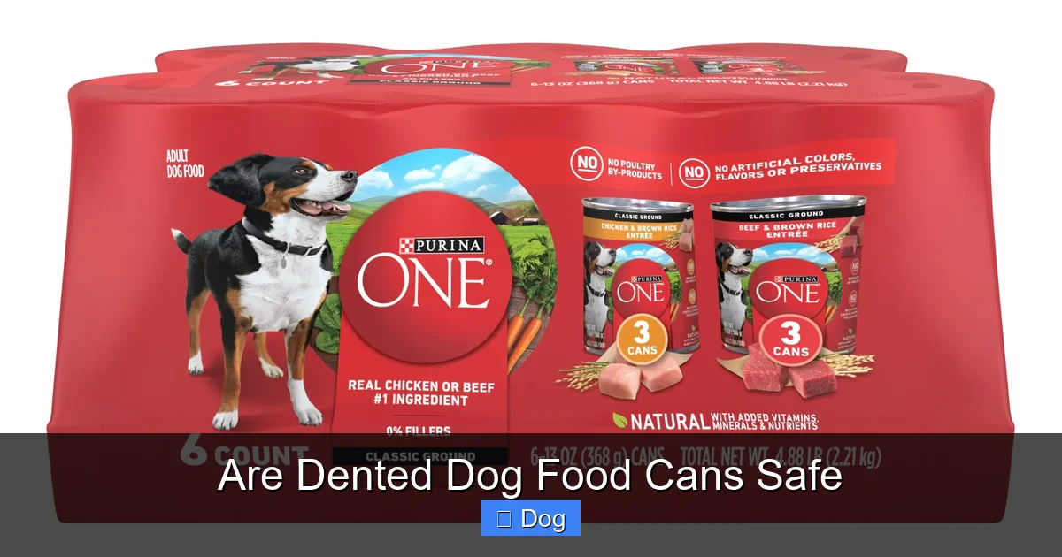 Are Dented Dog Food Cans Safe