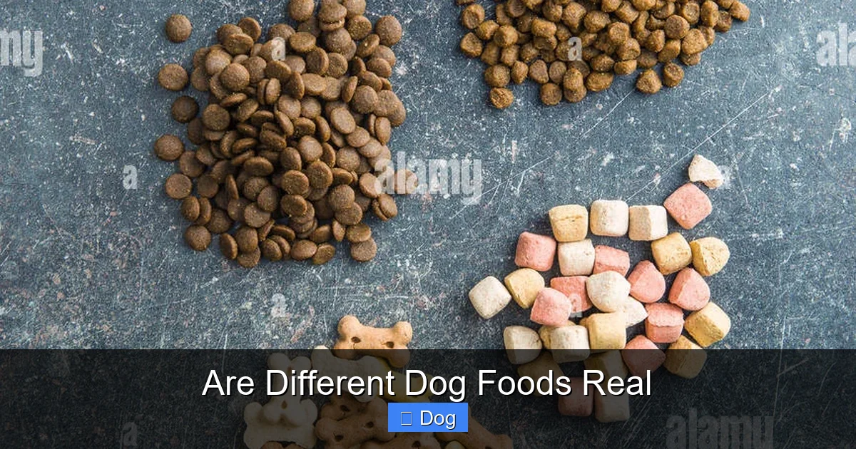 Are Different Dog Foods Real