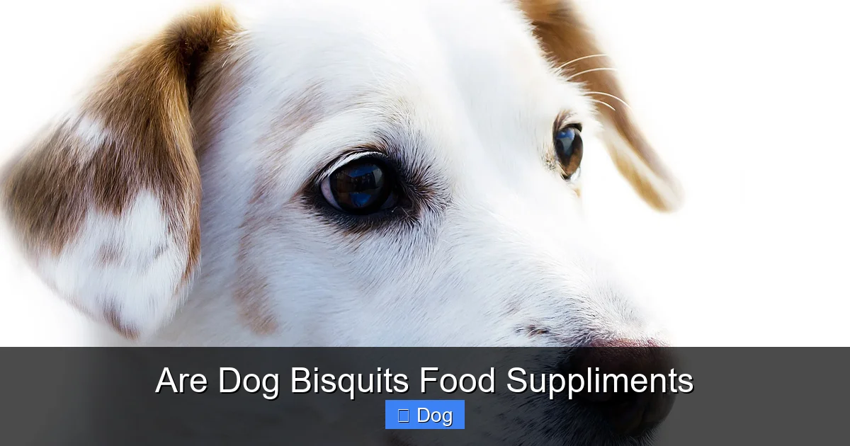 Are Dog Bisquits Food Suppliments