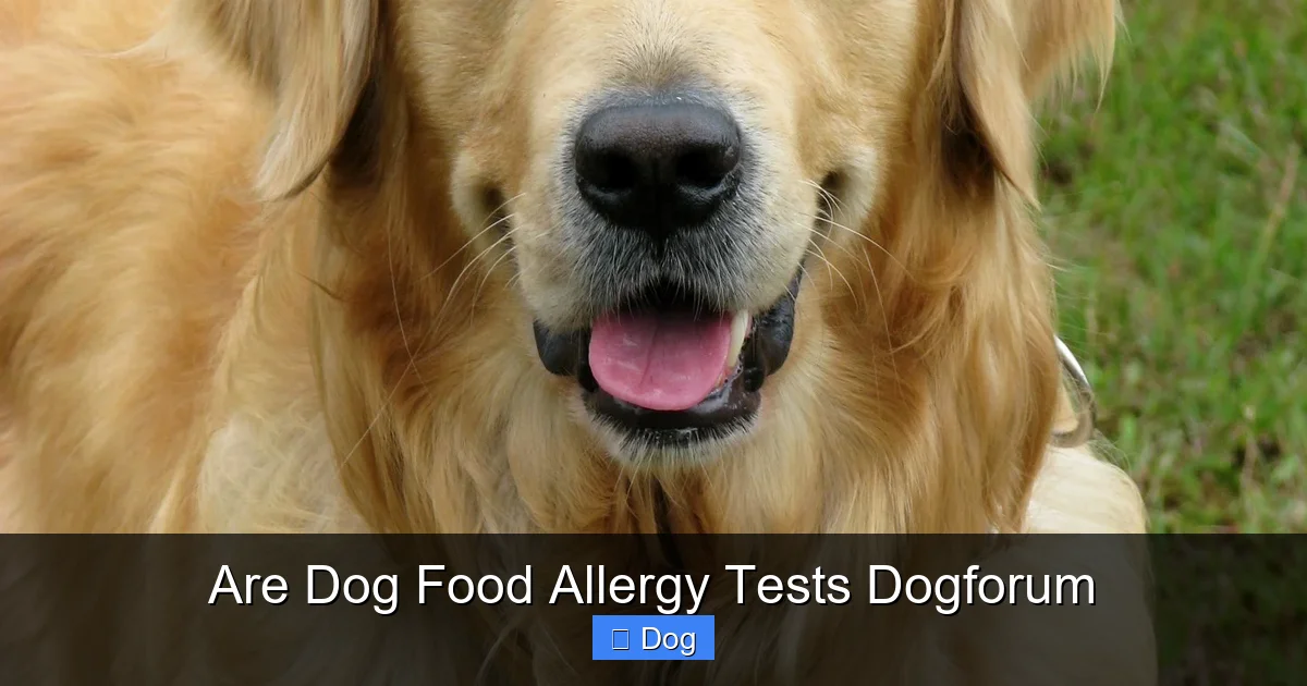 Are Dog Food Allergy Tests Dogforum