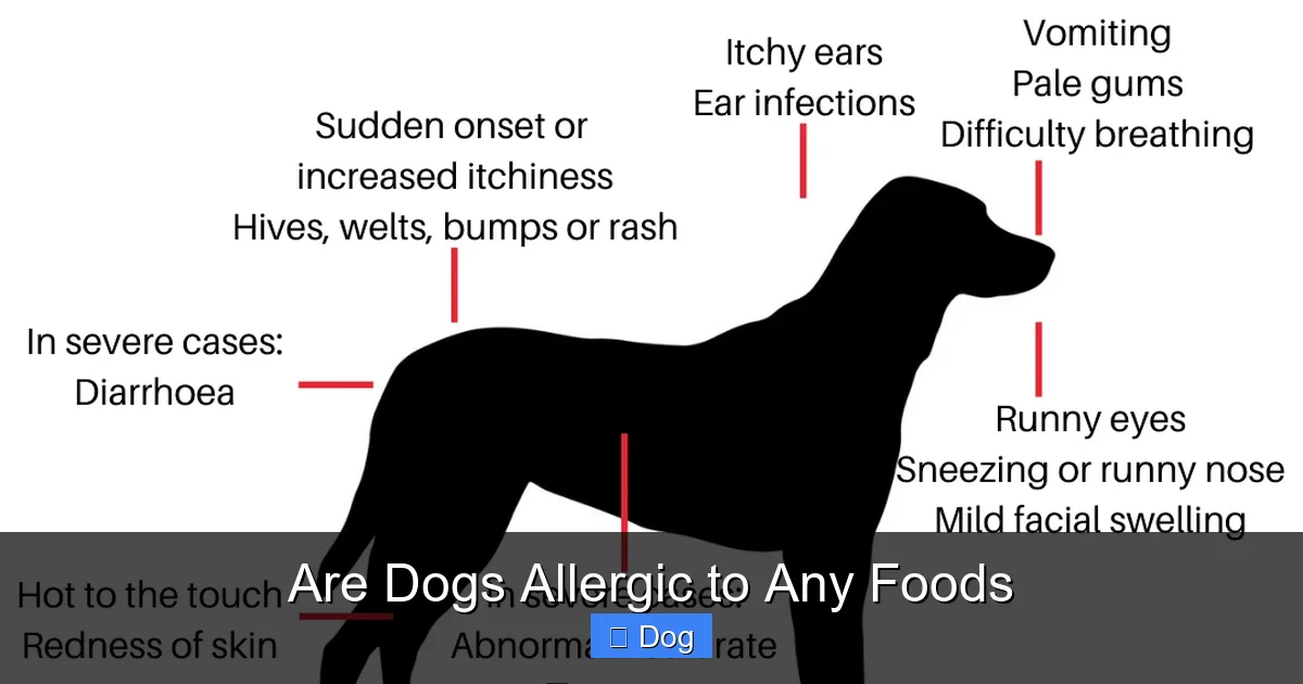 Are Dogs Allergic to Any Foods