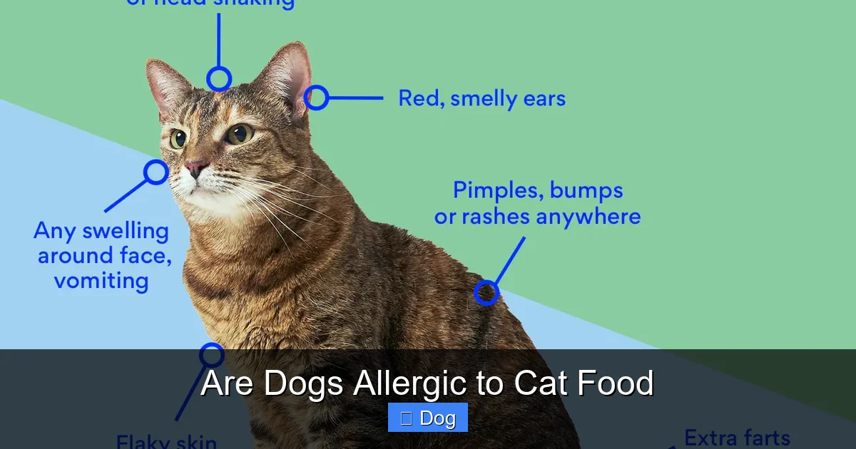 Are Dogs Allergic to Cat Food