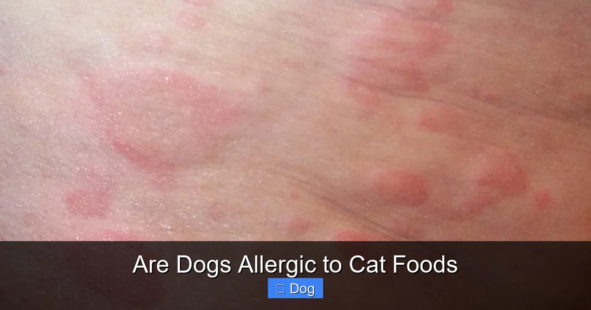 Are Dogs Allergic to Cat Foods