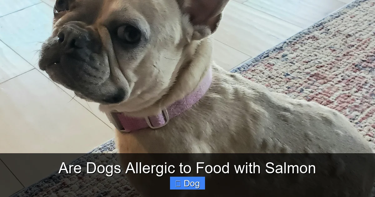 Are Dogs Allergic to Food with Salmon