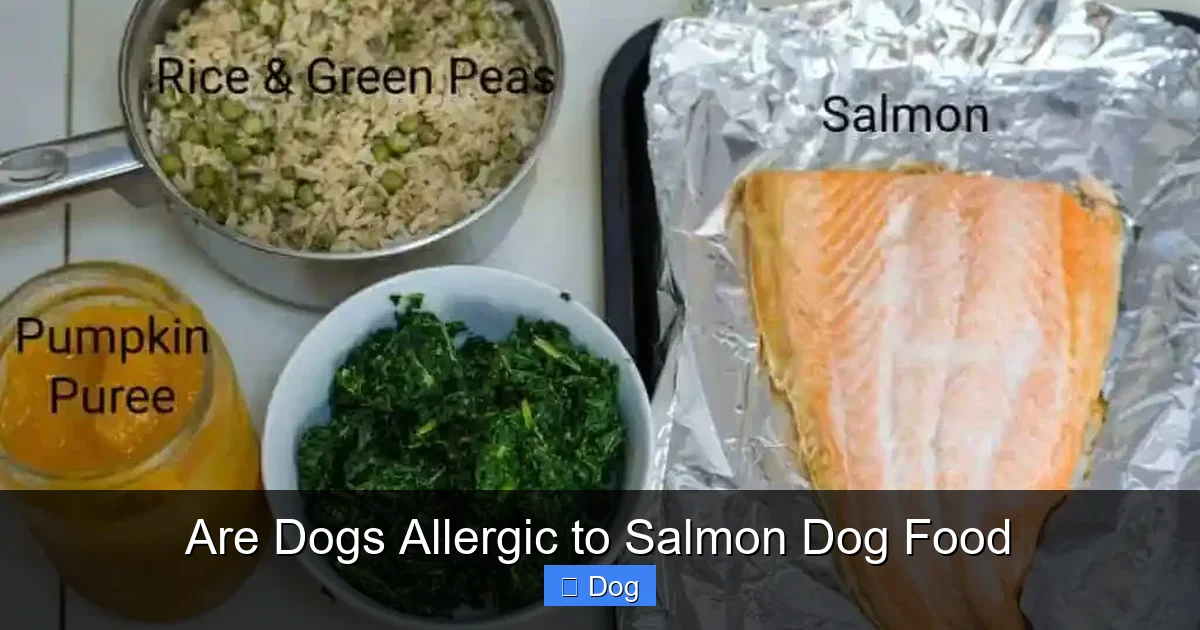 Are Dogs Allergic to Salmon Dog Food