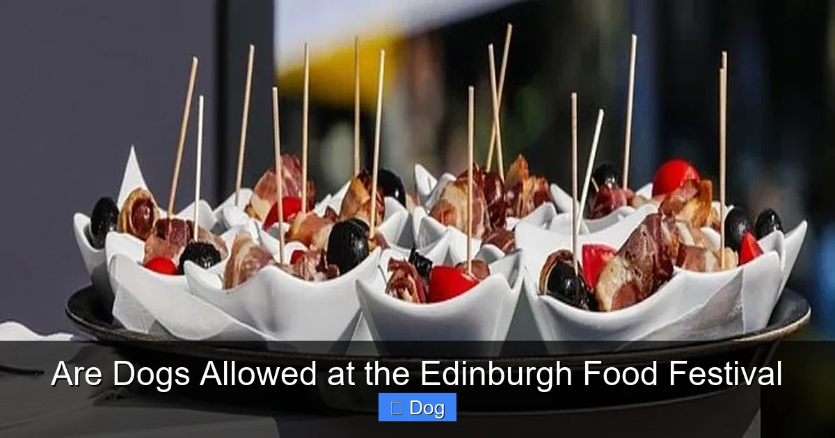 Are Dogs Allowed at the Edinburgh Food Festival