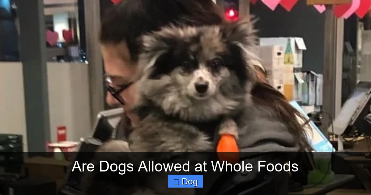 Are Dogs Allowed at Whole Foods