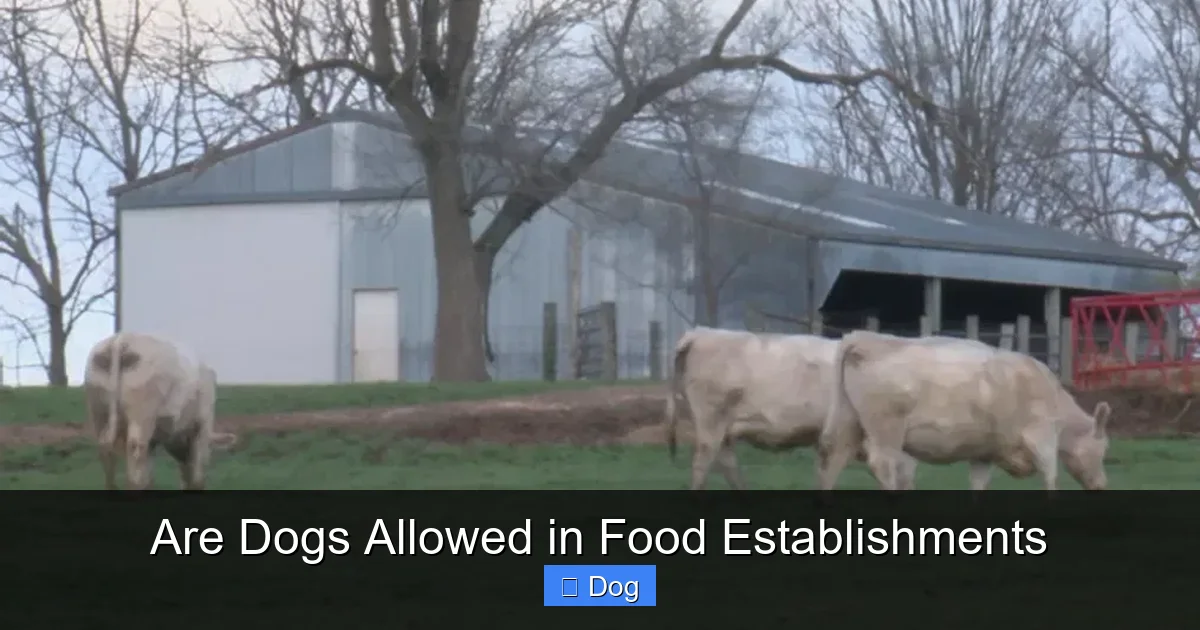 Are Dogs Allowed in Food Establishments