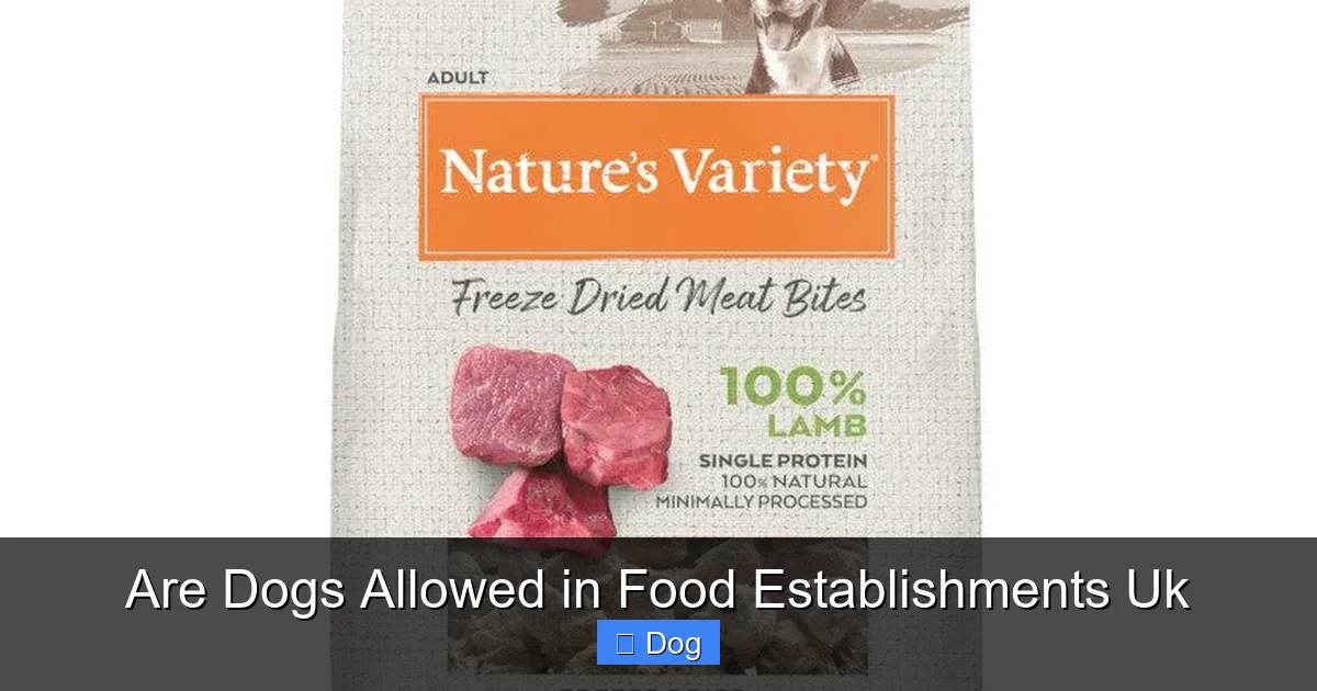 Are Dogs Allowed in Food Establishments Uk