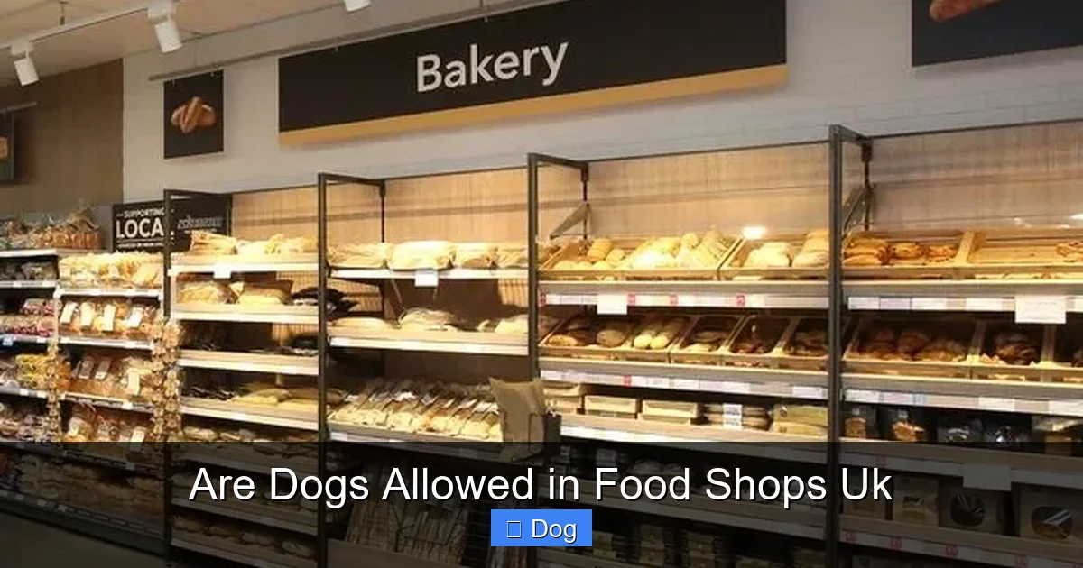 Are Dogs Allowed in Food Shops Uk