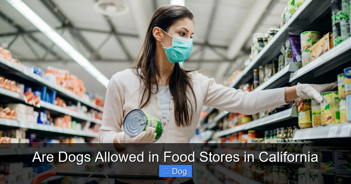 Are Dogs Allowed in Food Stores in California