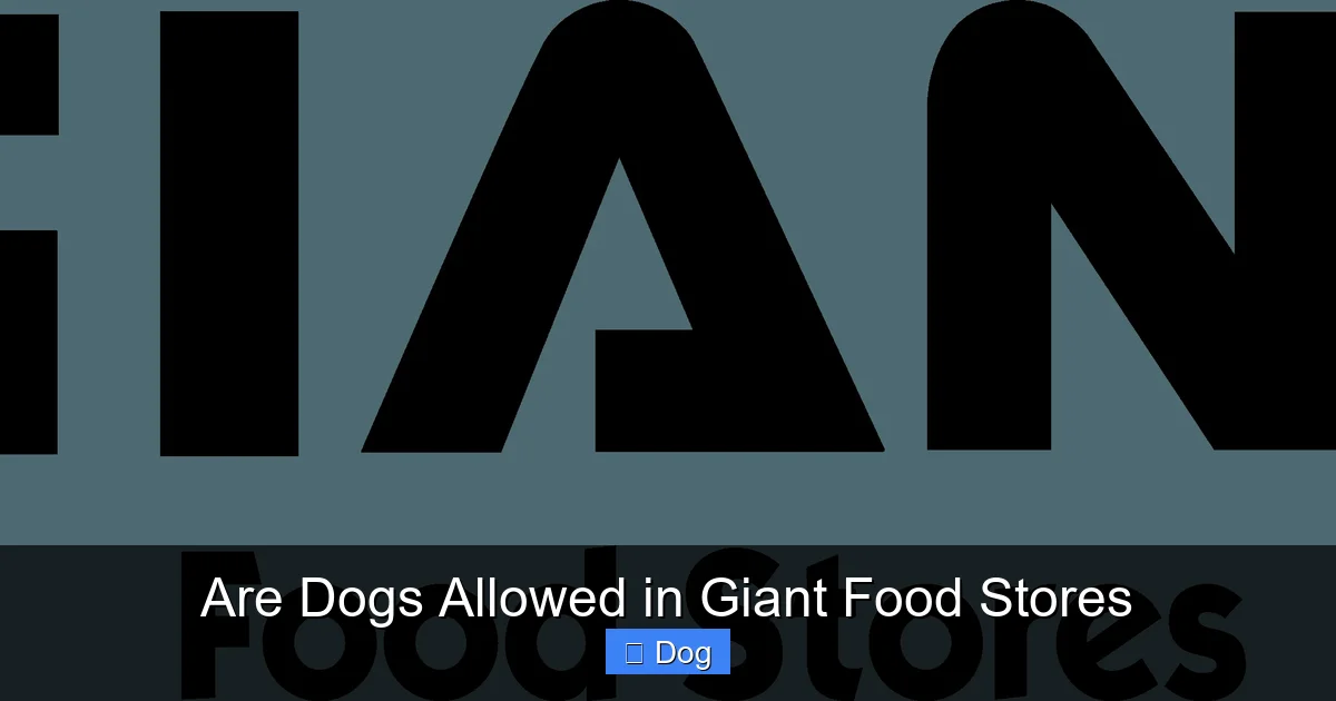 Are Dogs Allowed in Giant Food Stores