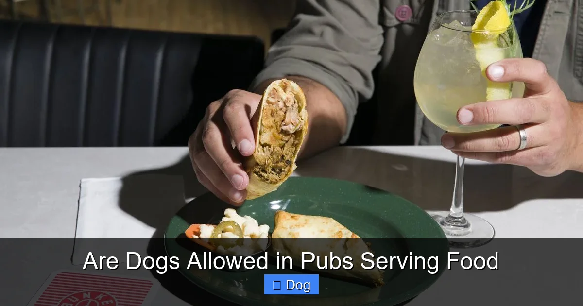 Are Dogs Allowed in Pubs Serving Food
