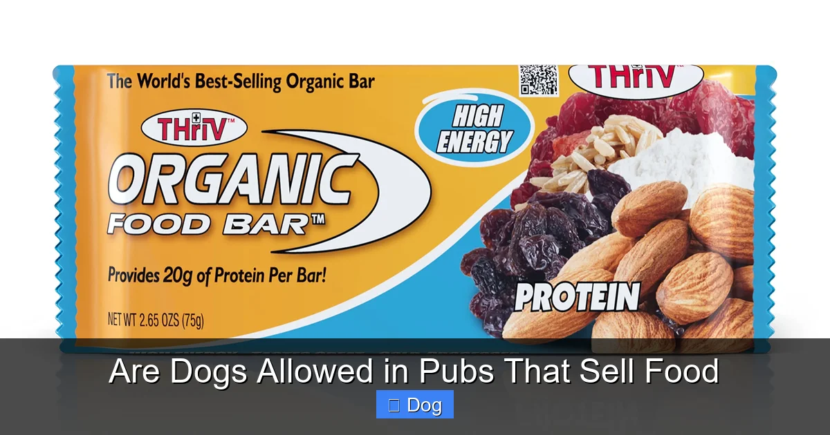 Are Dogs Allowed in Pubs That Sell Food