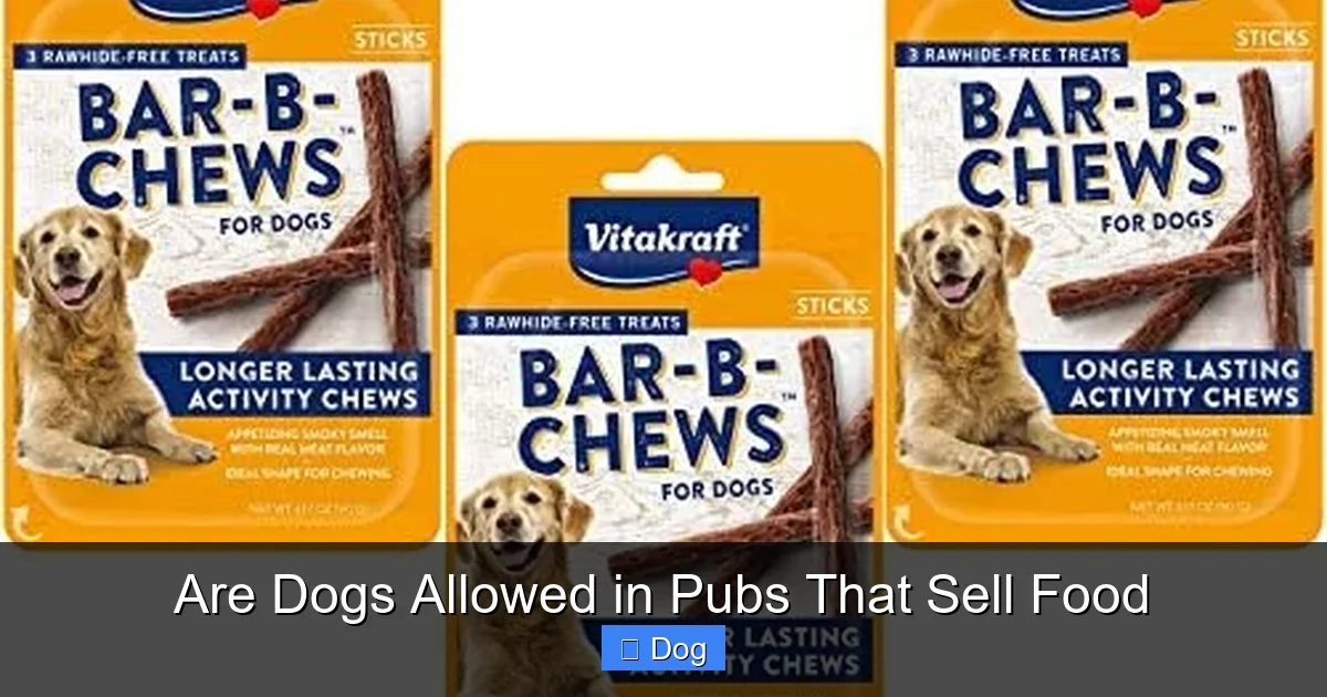 Are Dogs Allowed in Pubs That Sell Food
