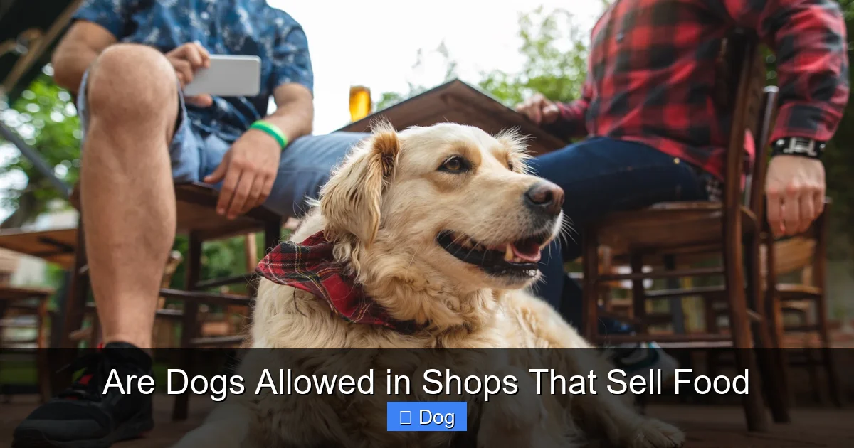 Are Dogs Allowed in Shops That Sell Food