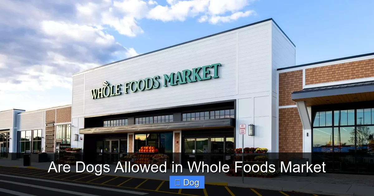 Are Dogs Allowed in Whole Foods Market