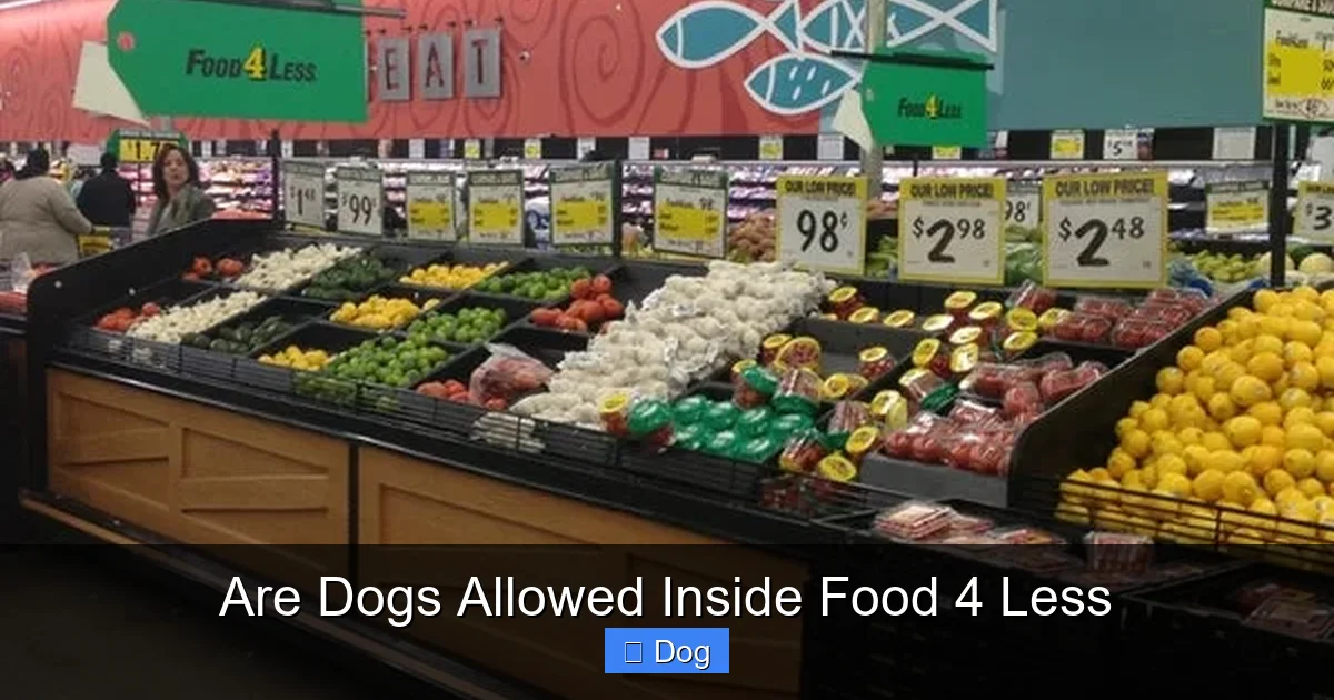 Are Dogs Allowed Inside Food 4 Less