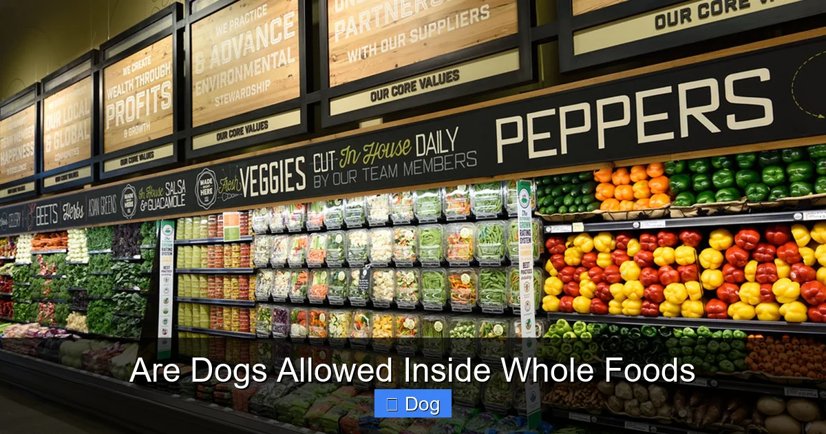 Are Dogs Allowed Inside Whole Foods